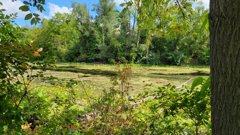 More Photos Of 427 N Steer St, Addison Hospital For Sale