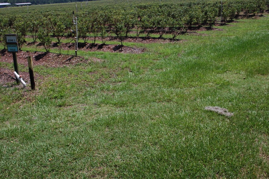 More Photos Of 18811 SE 243rd St, Hawthorne Specialty For Sale