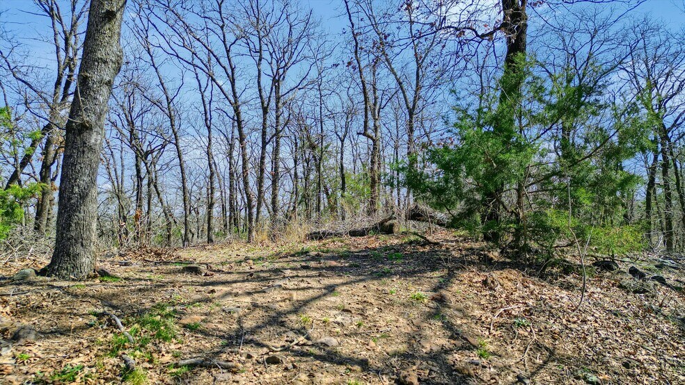 More Photos Of 278 Neely Trl, Gainesville Land For Sale