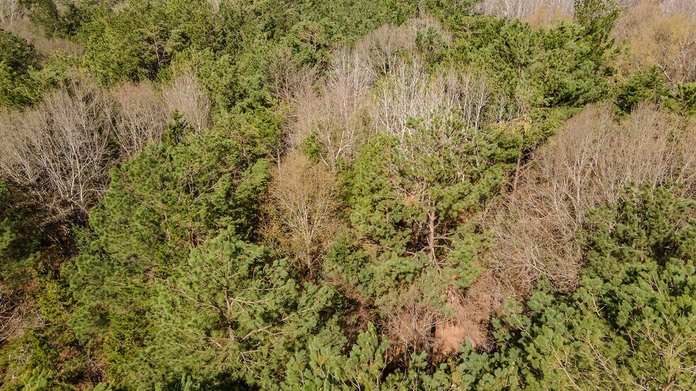 More Photos Of 16558 State Highway 155, Tyler Land For Sale