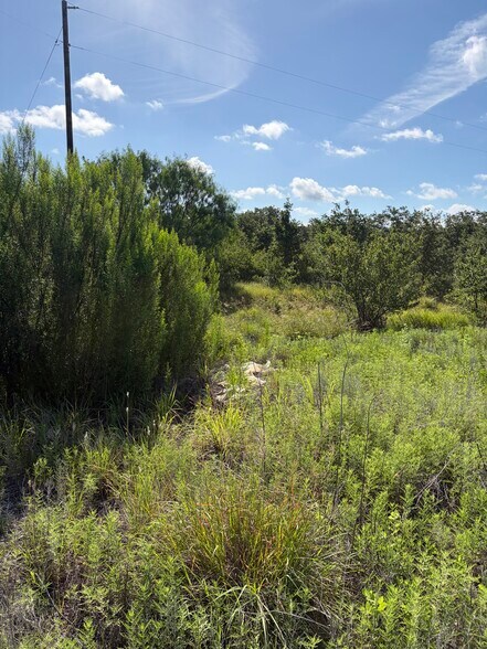 More Photos Of N/A County Road 120, Gordon Land For Lease