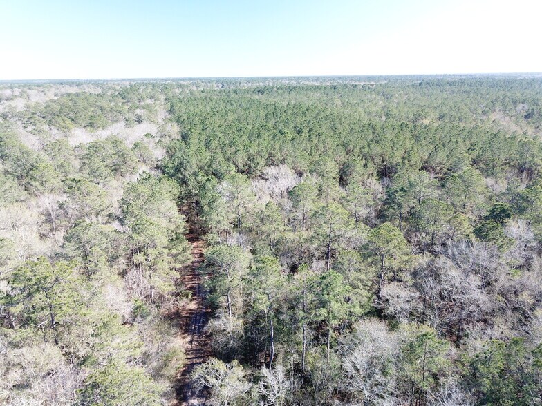 More Photos Of Corrigan Road, Vidor Land For Sale