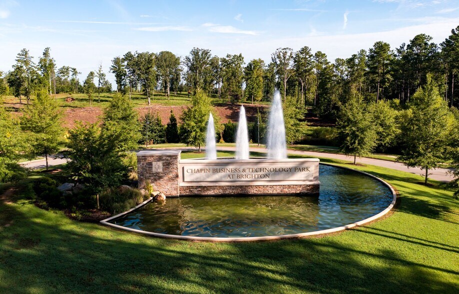 Primary Photo Of 301 Brighton Blvd, Chapin Land For Sale