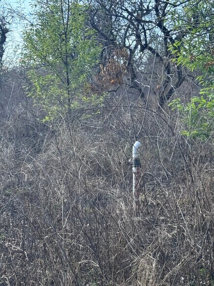 More Photos Of 16982 SE Highway 42, Weirsdale Land For Sale