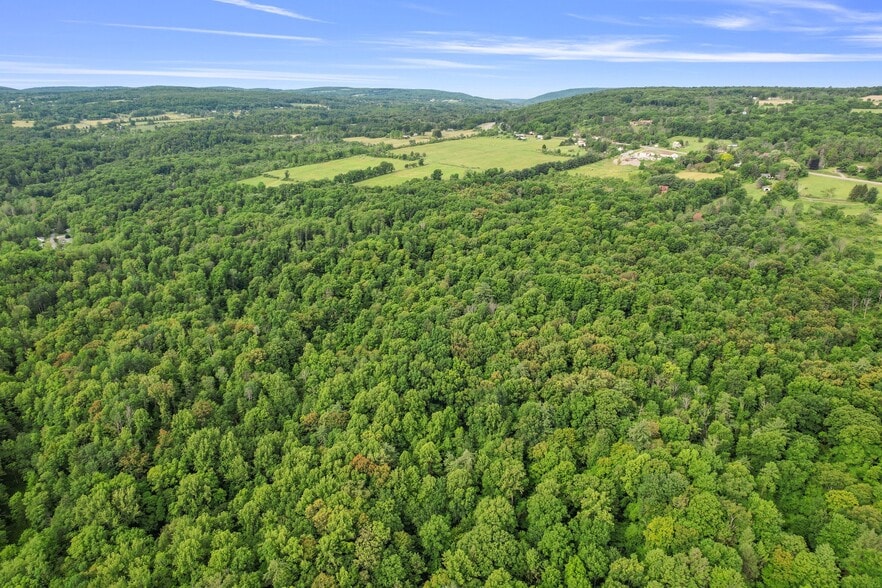 More Photos Of 0 Elmira Rd, Newfield Land For Sale