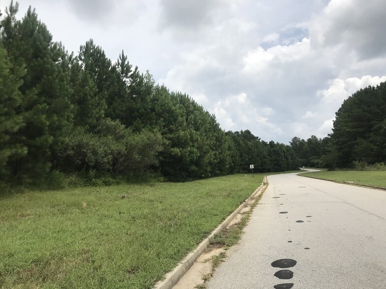 More Photos Of 138 E Highway At Lanier Xing, Stockbridge Land For Sale
