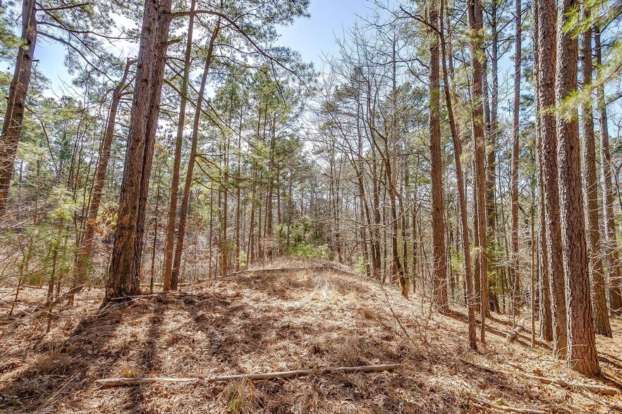 More Photos Of 439 County Road 3190, Winnsboro Land For Sale