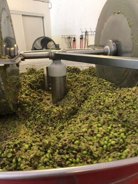 More Photos Of 46780 CA-371, Aguanga Winery Vineyard For Sale