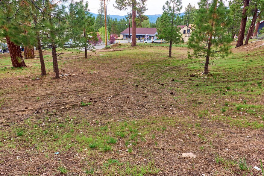 More Photos Of 545 Wren Dr, Big Bear Lake Land For Sale