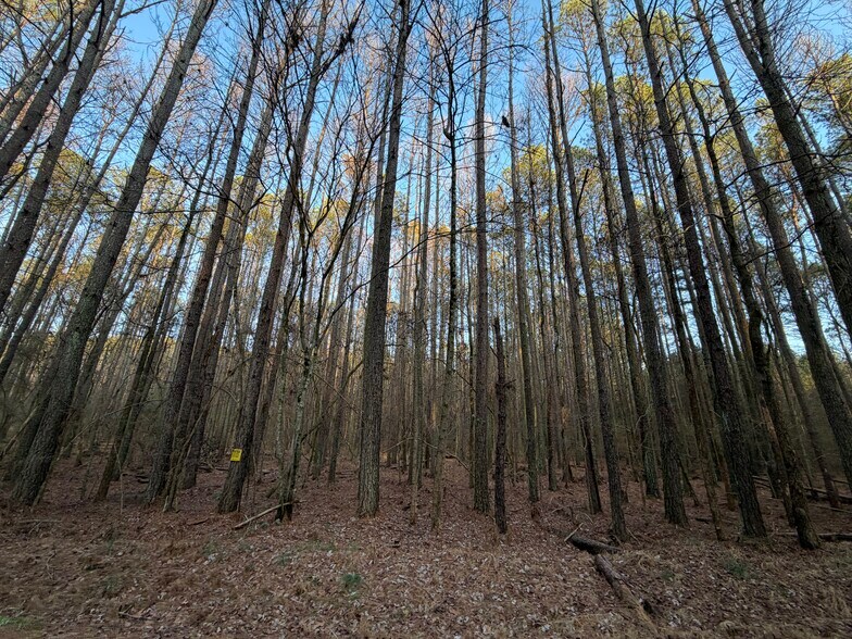 More Photos Of 260 Arnold Rd NE, Fairmount Land For Sale