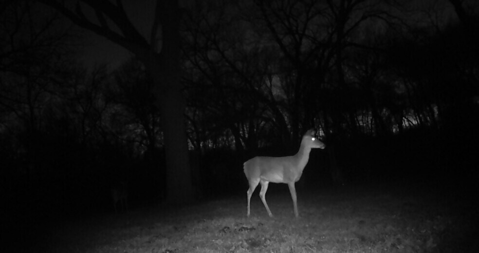 More Photos Of 900 Old Lytton Springs Rd, Lockhart Land For Sale