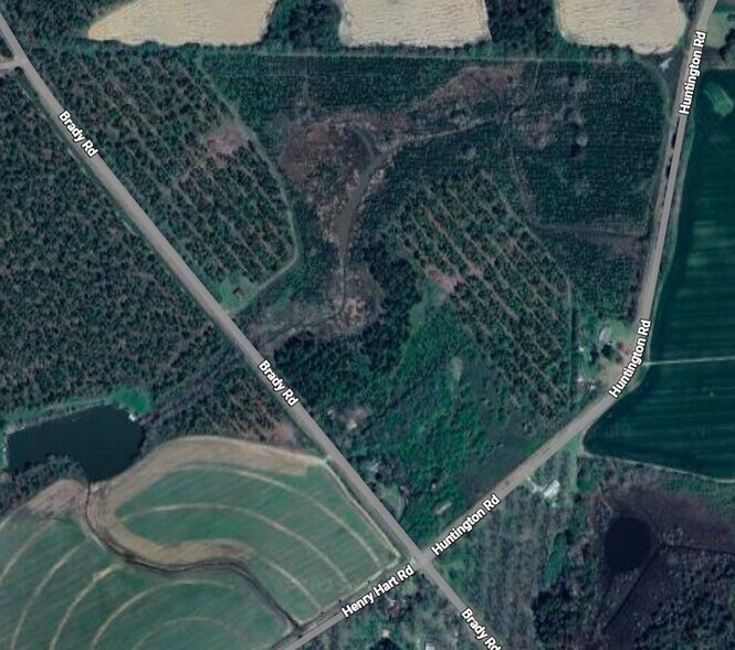 More Photos Of 1344 Brady Road, Americus Land For Sale