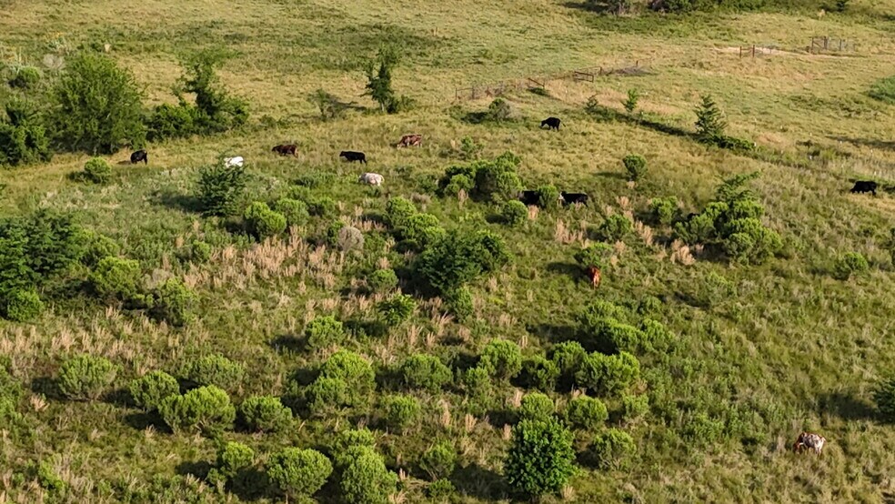 More Photos Of TBD FM 857 Rd, Grand Saline Land For Sale
