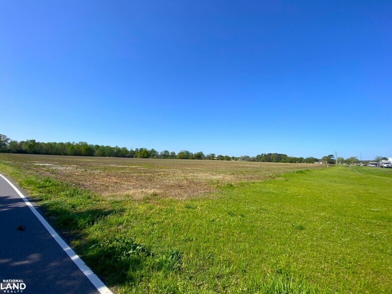 More Photos Of 3098 N HWY 171, Fayette Land For Sale