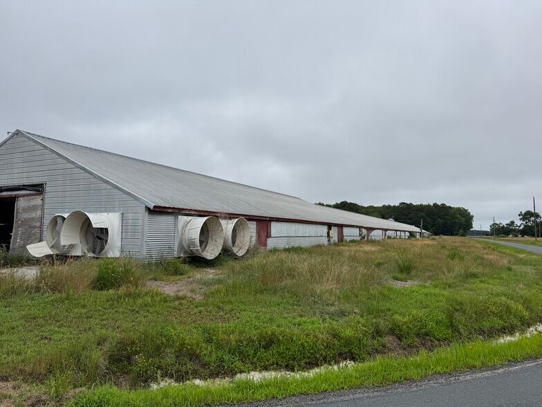 Primary Photo Of 7193 Bullbegger Rd, Withams Land For Sale