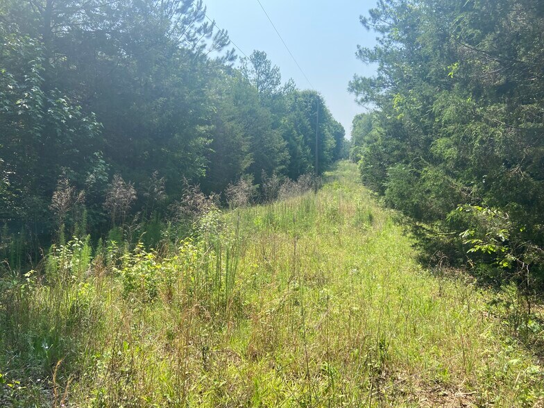 More Photos Of Terry Shop Rd, Fountain Inn Land For Sale