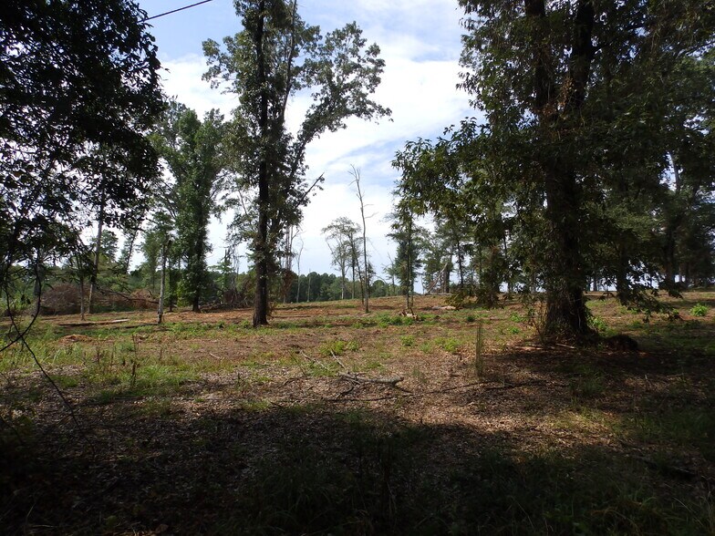 More Photos Of 16393 Highway 31, Tyler Land For Sale