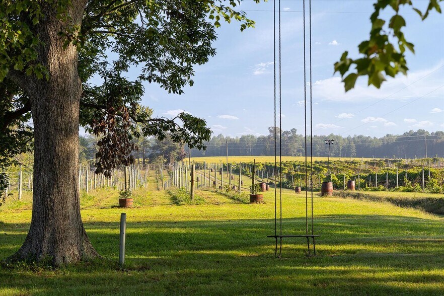 More Photos Of 667 Hustle Rd, Hustle Winery Vineyard For Sale