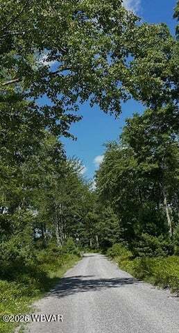 More Photos Of Beech Creek Mountain Rd, Beech Creek Land For Sale