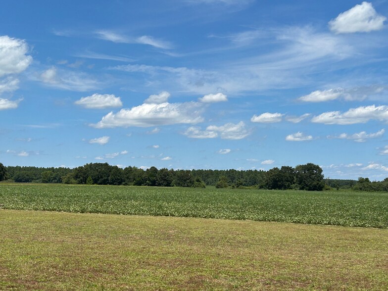 More Photos Of 8200 Highway 89, Milton Land For Sale