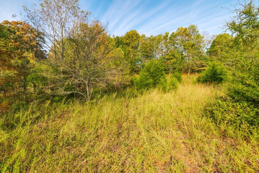 More Photos Of 1112 New Highway 52 Hwy, Westmoreland Land For Sale