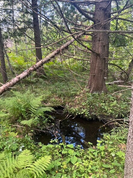 More Photos Of US Highway 141, Wausaukee Land For Sale