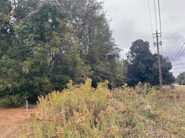 More Photos Of U.S. 341, Fort Valley Land For Sale