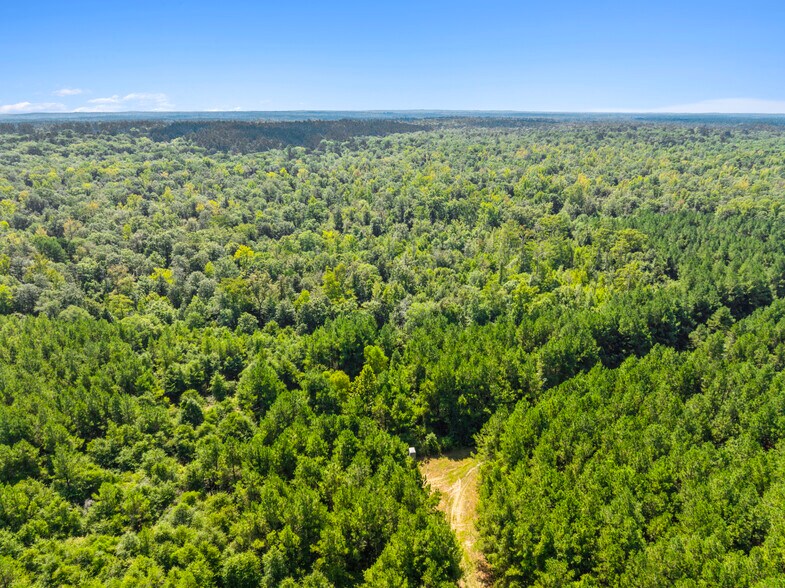 More Photos Of 7471 Highway 155, Saline Land For Sale