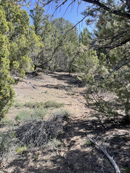 More Photos Of East Highway 89, Indianola Land For Sale