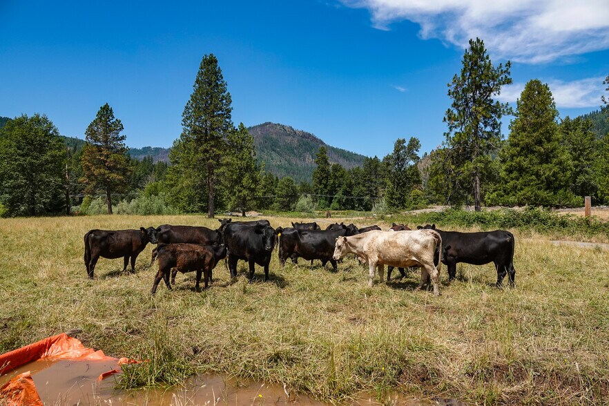 More Photos Of 44510 State 96 Hwy, Seiad Valley Land For Sale