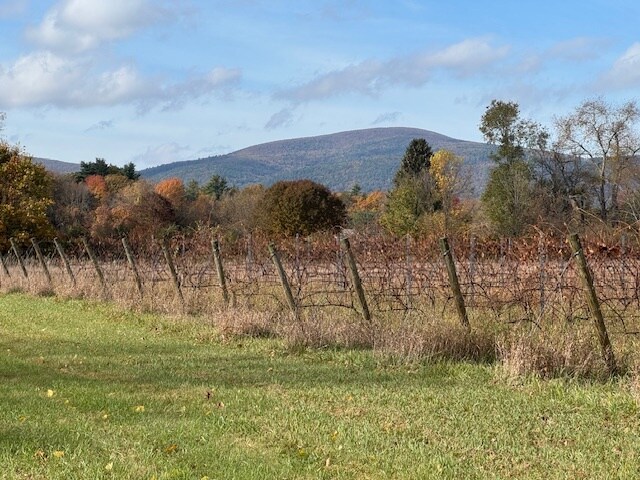 More Photos Of 292 S Main St, Sheffield Office For Lease