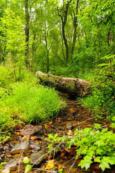 More Photos Of 2199 Roosterville Rd, Roopville Horse Stables For Sale