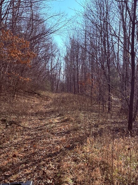 More Photos Of 4604 Summersville Rd, Campbellsville Land For Sale