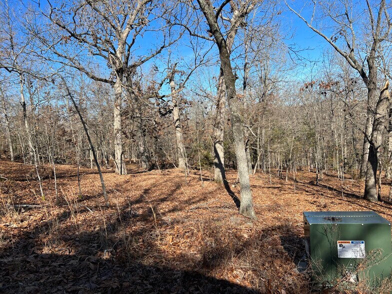 More Photos Of 312 Eagle Wing Dr, Theodosia Land For Sale