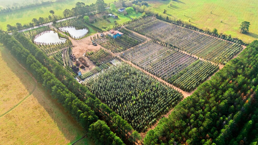 More Photos Of 28287 Hegar Rd, Hockley Land For Sale