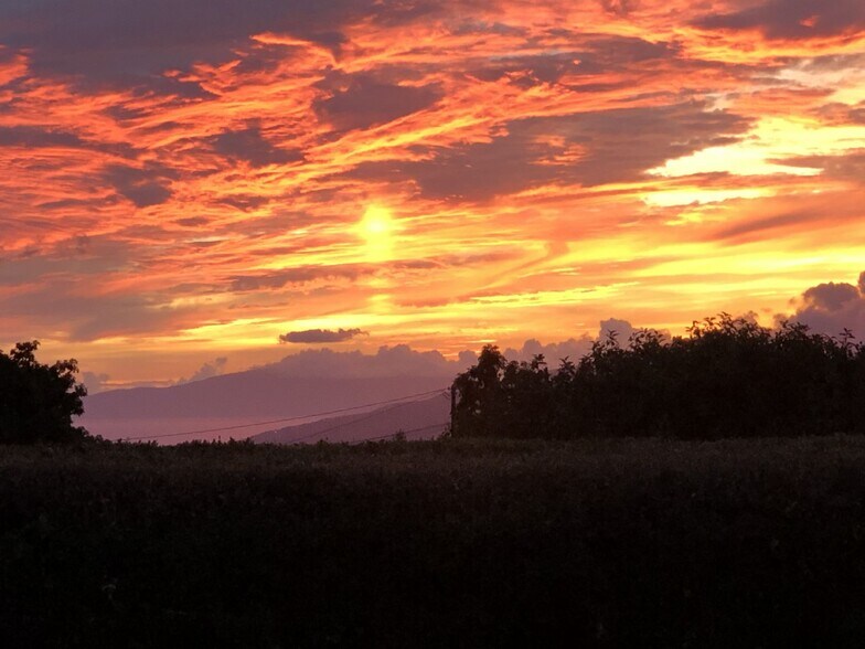 More Photos Of 3135 Lower Kula Rd, Kula Storefront Retail Office For Sale