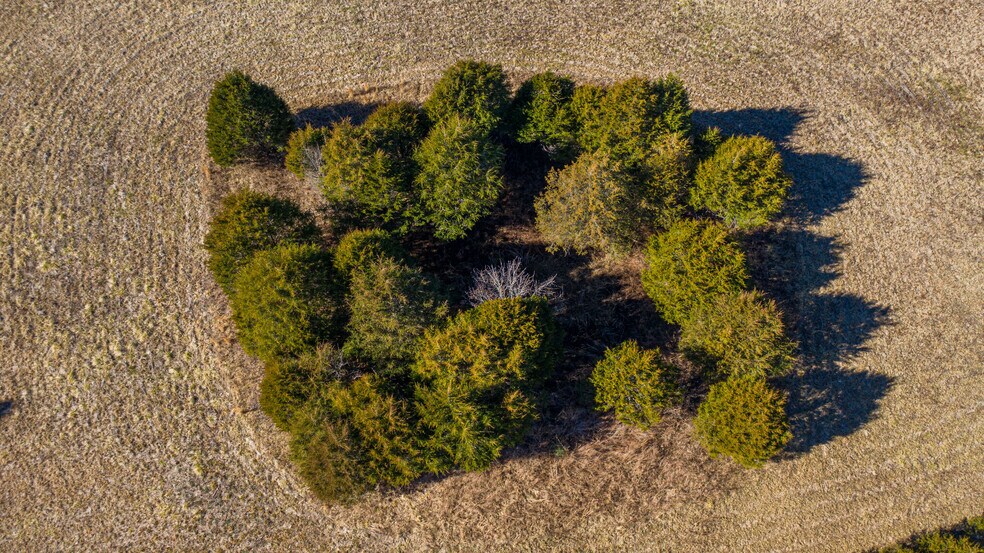 More Photos Of 310 Ramsey Rd, Lebanon Land For Sale