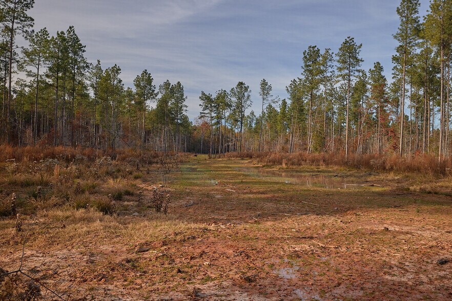 More Photos Of 480 Martin Rd, Cotton Valley Land For Sale