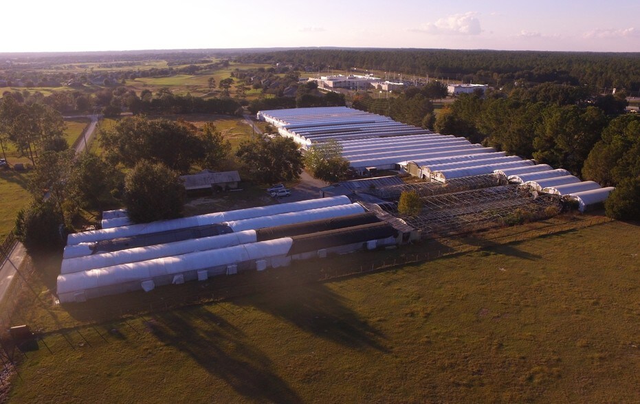 More Photos Of 34240 County Road 437, Sorrento General Retail For Sale