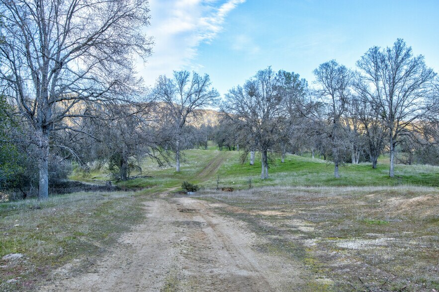 More Photos Of 50871 Road 200, O Neals Land For Sale