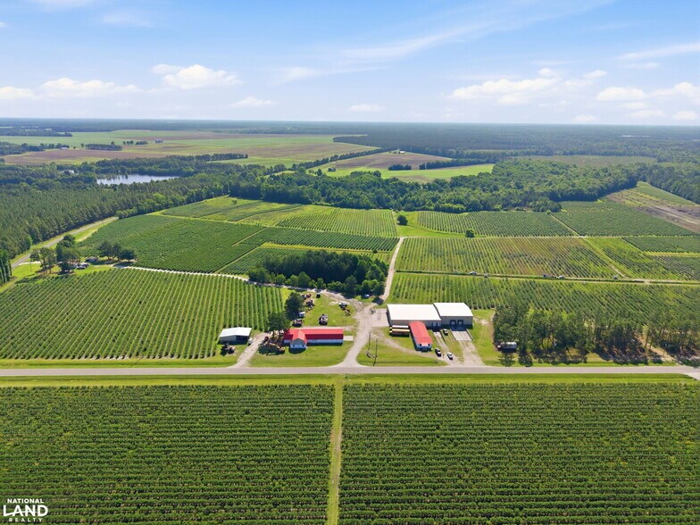 More Photos Of 5478 Halfway Branch School rd, Ivanhoe Land For Sale