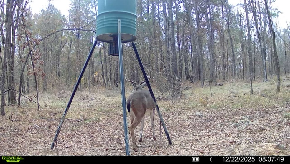 More Photos Of 17631 Farm Road 1159, Clarksville Land For Sale