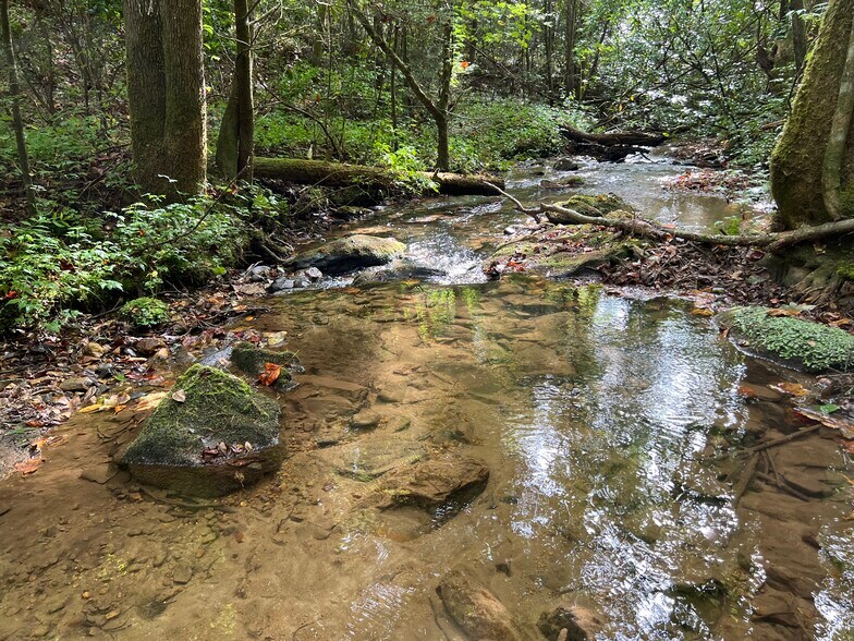 More Photos Of Whitecliff Drive, Ellijay Land For Sale
