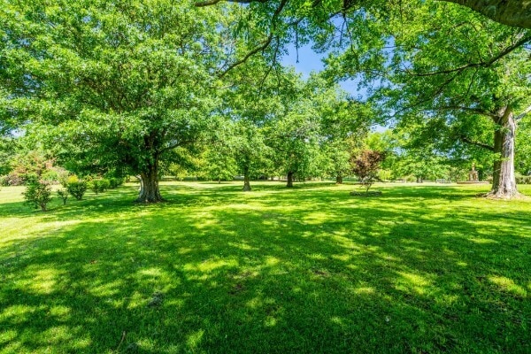 More Photos Of 1112 Franklin Rd, Brentwood Specialty For Sale