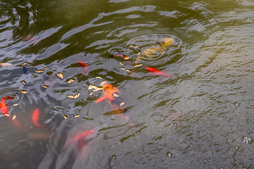 More Photos Of 706 Bradford Ave, Kemah Land For Sale