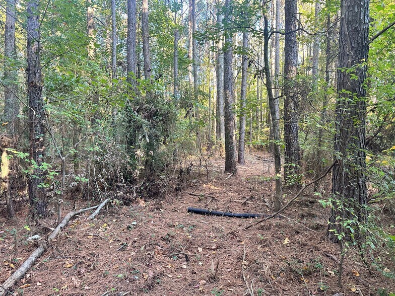 More Photos Of 00 NE Hwy 411, Rydal Land For Sale