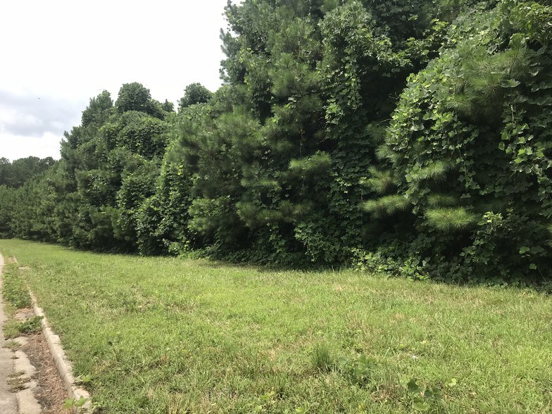 More Photos Of 138 E Highway At Lanier Xing, Stockbridge Land For Sale