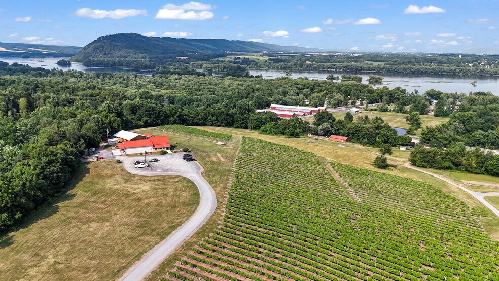 More Photos Of 3 Orchard Rd, Liverpool Winery Vineyard For Sale