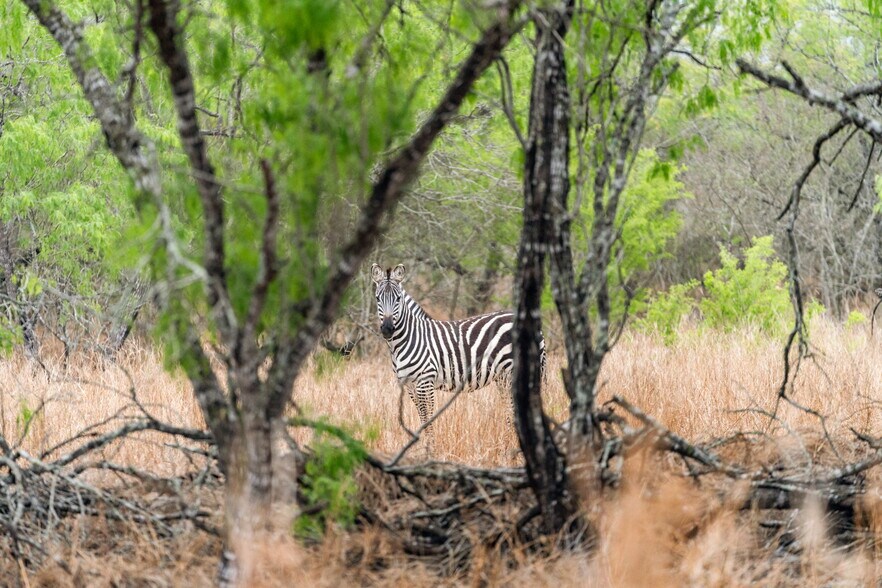 More Photos Of 141 S Private Road 1026, Kingsville Land For Sale