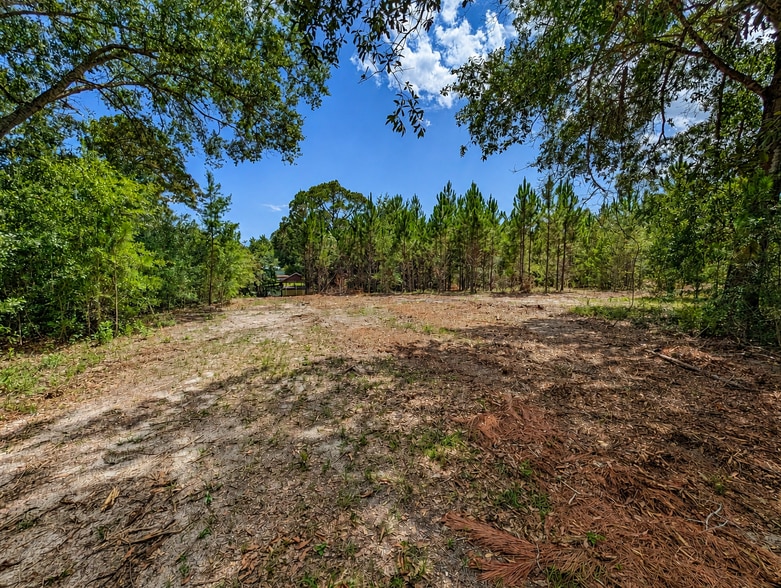 More Photos Of 18500 US Highway 331 S, Freeport Land For Sale